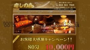 溝の口駅近くのメンズエステ店舗（癒しの森） | DINOエステ（ディノエステ）