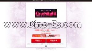 静岡の「静岡ワンナイト」電話番号：054-238-5044