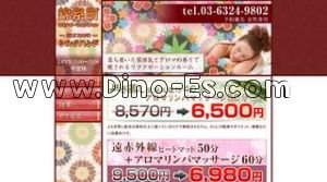 新小岩の「シルクハンド」電話番号：070-6674-0075