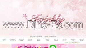 相模大野駅近くのメンズエステ店舗（Twinkly トゥインクリー） | DINOエステ（ディノエステ）
