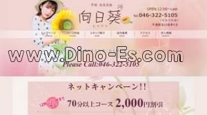平塚の「向日葵 ヒマワリ」電話番号：046-322-5105