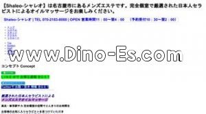 高岳駅近くのメンズエステ店舗（Shaleo シャレオ） | DINOエステ（ディノエステ）