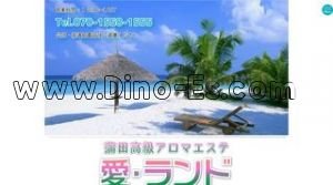 蒲田駅近くのメンズエステ店舗（愛 ランド） | DINOエステ（ディノエステ）