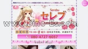 和田河原駅近くのメンズエステ店舗（セレブ） | DINOエステ（ディノエステ）
