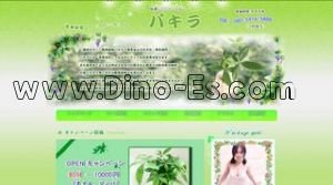 秋津駅近くのメンズエステ店舗（パキラ） | DINOエステ（ディノエステ）