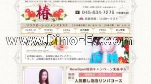 鶴見の「椿」電話番号：045-834-7276