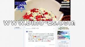 西葛西駅近くのメンズエステ店舗（RUANA SPA ルアナスパ） | DINOエステ（ディノエステ）