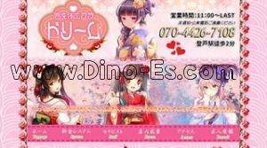 ドリーム メンズエステ | DINOエステ(ディノエステ) 登戸駅近くのメンズエステ店舗(ドリーム) | DINOエステ(ディノエステ)