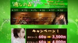 秋葉原の「癒しの森」電話番号：03-3256-2335
