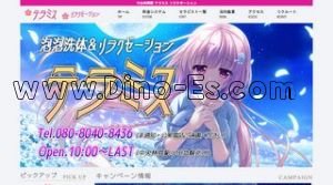 中央林間の「テラミス」電話番号：080-8040-8436