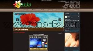 東新宿の「Anela〜アネラ〜」電話番号：070-2621-5912