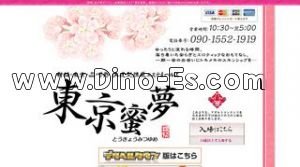 神田(東京)の「東京蜜夢」電話番号：090-1552-1919