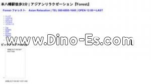 本八幡駅近くのメンズエステ店舗（Forest） | DINOエステ（ディノエステ）