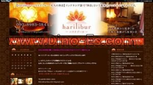 七条の「harilibur ハリリブール」電話番号：090-8983-1844