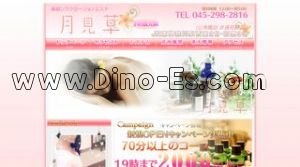 東神奈川の「月見草」電話番号：045-298-2816
