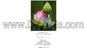 東新宿の「ラック・スマイル」電話番号：03-6273-9594