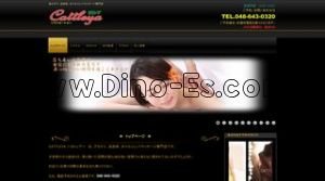 大宮(埼玉)の「Cattleya カトレア」電話番号：048-643-0320