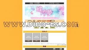 蝶の夢 メンズエステ | DINOエステ(ディノエステ) 十日市町駅近くのメンズエステ店舗(蝶の夢) | DINOエステ(ディノエステ)