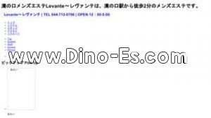 Levante レヴァンテ メンズエステ | DINOエステ(ディノエステ) 溝の口駅近くのメンズエステ店舗(Levante レヴァンテ) | DINOエステ(ディノエステ)