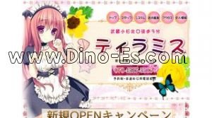 武蔵小杉駅近くのメンズエステ店舗（ティラミス） | DINOエステ（ディノエステ）