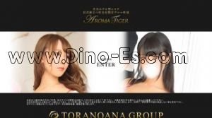 渋谷駅近くのメンズエステ店舗（AROMA TIGER） | DINOエステ（ディノエステ）