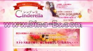 久米川駅近くのメンズエステ店舗（シンデレラ） | DINOエステ（ディノエステ）