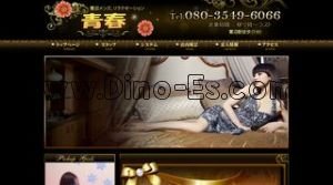 鷺沼駅近くのメンズエステ店舗（青春） | DINOエステ（ディノエステ）