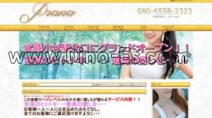 武蔵小杉駅近くのメンズエステ店舗（プラーナ） | DINOエステ（ディノエステ）