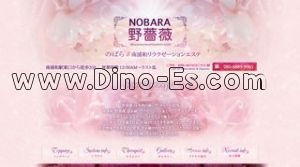 南浦和の「野薔薇」電話番号：080-6889-9965
