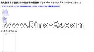 烏丸御池駅近くのメンズエステ店舗（Aroma Shanti アロマシャンティ） | DINOエステ（ディノエステ）