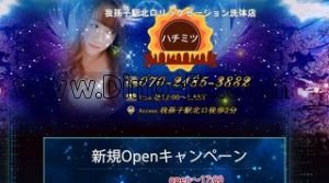 我孫子の「ハチミツ」電話番号：070-2185-3882
