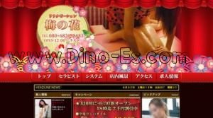 梅の花 メンズエステ | DINOエステ(ディノエステ) 太田川駅近くのメンズエステ店舗(梅の花) | DINOエステ(ディノエステ)