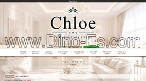 学芸大学の「Chloe クロエ 学芸大学店」電話番号：070-3343-5567
