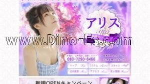 志木の「アリス」電話番号：080-7290-6466