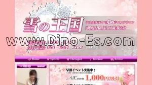 朝霞台の「雪の王国」電話番号：080-4864-3353
