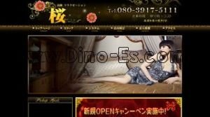 南浦和駅近くのメンズエステ店舗（桜） | DINOエステ（ディノエステ）
