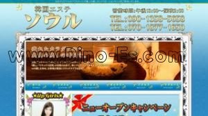 常盤(岡山)の「ソウル」電話番号：090-1358-5658