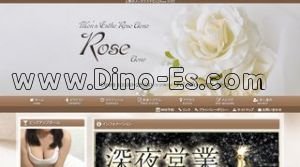 Rose ロゼ メンズエステ | DINOエステ(ディノエステ) 上野駅近くのメンズエステ店舗(Rose ロゼ) | DINOエステ(ディノエステ)