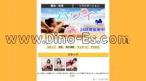 伏見駅近くのメンズエステ店舗（ハワイ） | DINOエステ（ディノエステ）