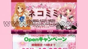 大和(神奈川)の「ネコミミ」電話番号：080-6256-6659