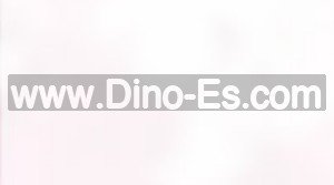 西荻窪の「ローズマリー」電話番号：080-6196-9838