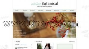 aroma Botanical アロマボタニカル メンズエステ | DINOエステ(ディノエステ) 池袋駅近くのメンズエステ店舗(aroma Botanical アロマボタニカル) | DINOエステ(ディノエステ)