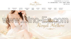 錦糸町駅近くのメンズエステ店舗（Royal Mellow 錦糸町ルーム） | DINOエステ（ディノエステ）