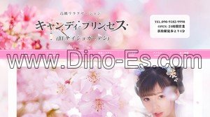 浜松の「キャンディプリンセス(旧ナイショガール)」電話番号：090-9182-9998