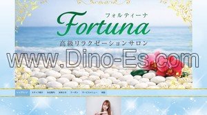 六番町駅近くのメンズエステ店舗（Fortuna フォルティーナ） | DINOエステ（ディノエステ）