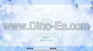 小田原の「POMPOM Blue ポムポムブル 小田原ルーム」電話番号：080-6963-2098