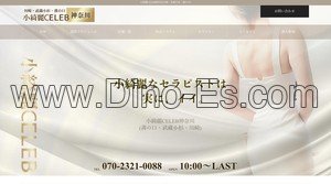 武蔵小杉駅近くのメンズエステ店舗（小綺麗CELEB セレブ 武蔵小杉店） | DINOエステ（ディノエステ）
