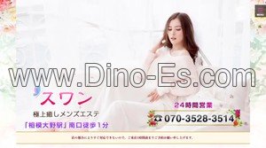 相模大野の「スワン」電話番号：070-3528-3514
