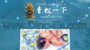 学芸大学の「青松一下 あおまつひととき」電話番号：090-8164-3683