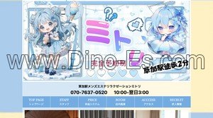 草加駅近くのメンズエステ店舗（ミトリ） | DINOエステ（ディノエステ）